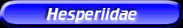 [Hesperiidae]