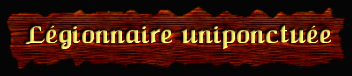 [Legionnaire uniponctuee]