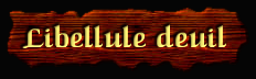 [Libellule deuil]