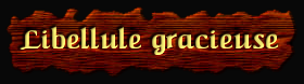 [Libellule gracieuse]