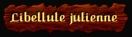 [Libellule julienne]
