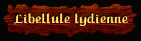 [Libellule lydienne]