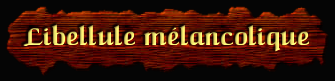 [Libellule melancolique]