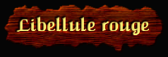 [Libellule rouge]
