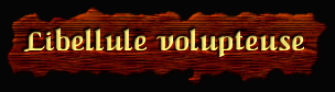 [Libellule voluptueuse]