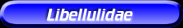 [Libellulidae]