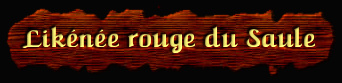 [Likenee rouge du Saule]