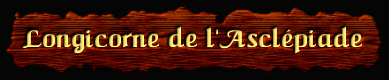 [Longicorne