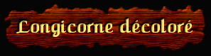[Longicorne