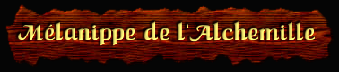 [Melanippe de l'Alchemille]