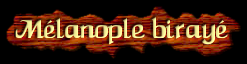 [Melanople Biraye]