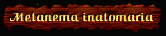 [Metanema inatomaria]
