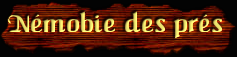 [Nemobie des pres]