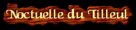 [Noctuelle du Tilleul]