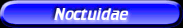 [Noctuidae]