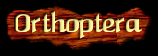 [Orthoptera]