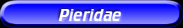 [Pieridae]