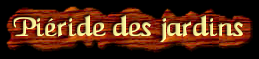 [Pieride des jardins]