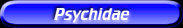 [Psychidae]