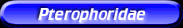 [Pterophoridae]