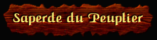 [Saperde