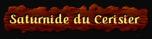 [Saturnide du Cerisier]