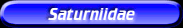 [Saturniidae]