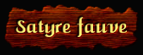 [Satyre fauve]
