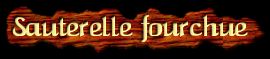 [Sauterelle