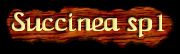 [Succinea sp]