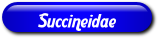 [Succeneidae]