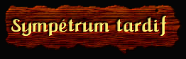 [Libellulidae]