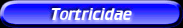[Tortricidae]