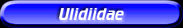 [Ulidiidae]