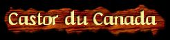 [Castor du Canada]