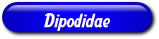 [Dipodidae]