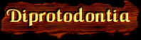 [Diprotodontia]