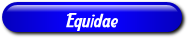 [Equidae]