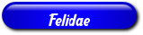 [Felidae]