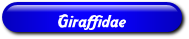 [Giraffidae]