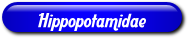 [Hippopotamidae]
