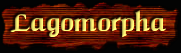 [Lagomorpha]