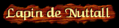 [Lapin de Nuttall]