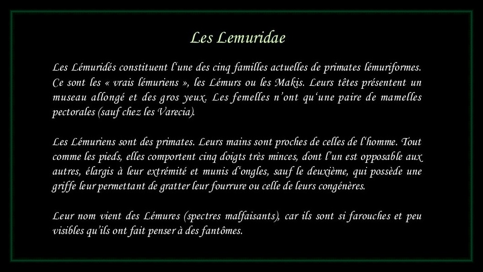 [Logo Lemuridae]