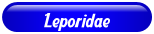 [Leporidae]