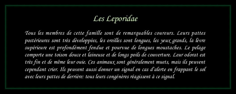 [Logo Leporidae]