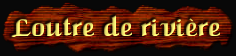 [Loutre de riviere]
