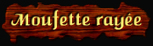 [Moufette Rayée]
