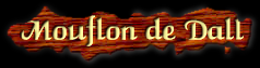 [Mouflon de Dall]