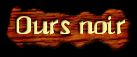 [Ours Noir]
